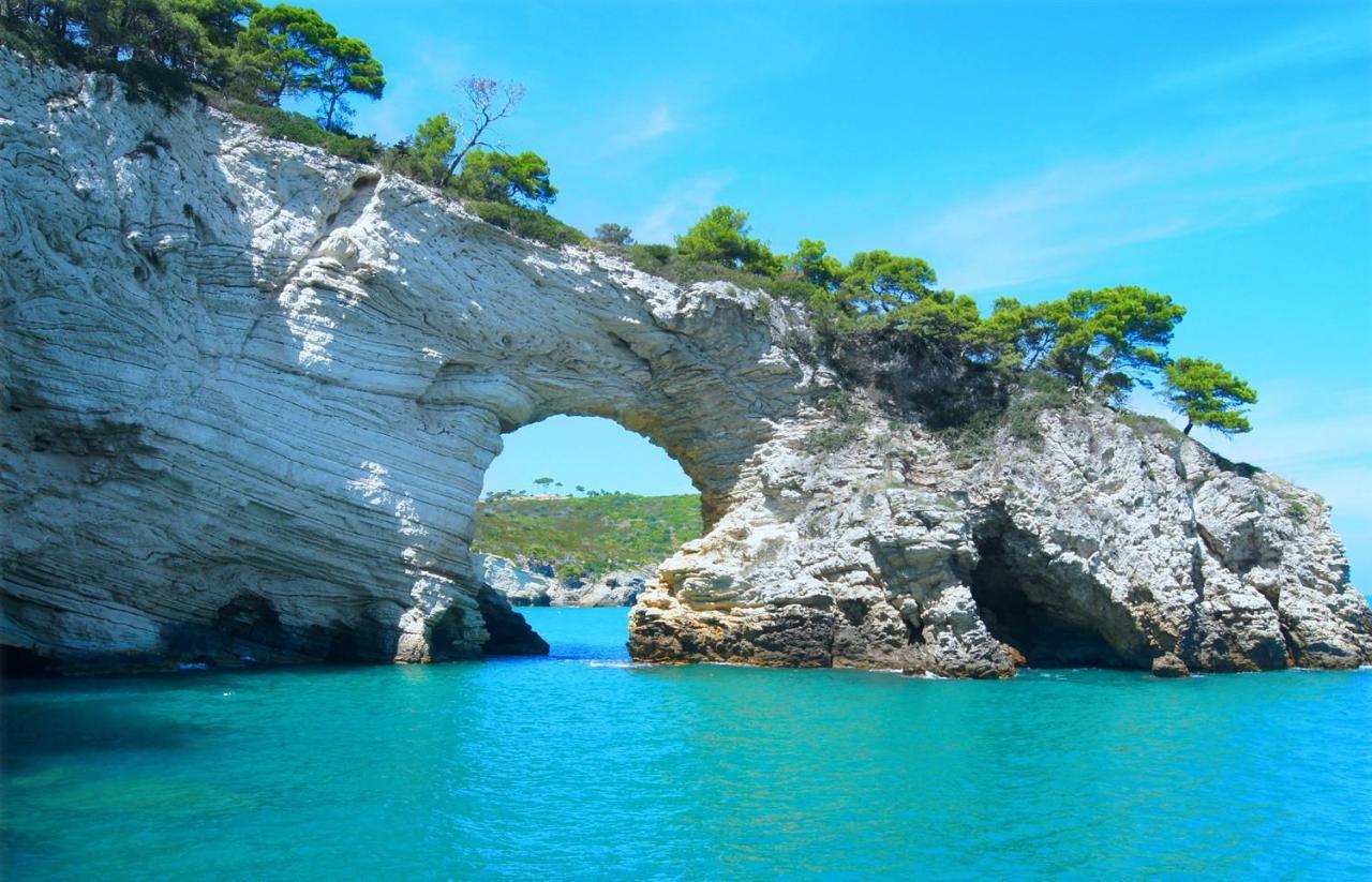 Puntamare Flat Daire Peschici Dış mekan fotoğraf
